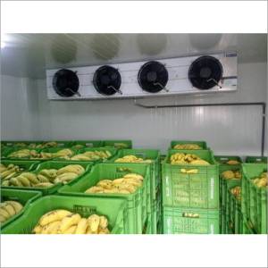 Ripening Chamber