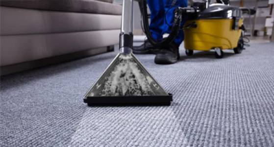Carpet Cleaning