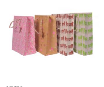 Carry Bag - Vertical
