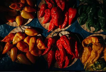 Herbs & Spices