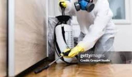 Pest control