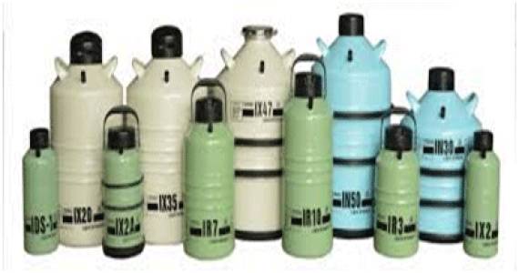 LIQUID NITROGEN CONTAINER OR CRYOCAN