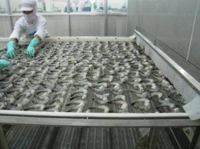 Seafood