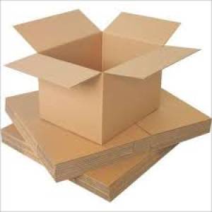 Duplex carton Unprinted