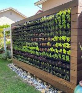 Vertical gardening