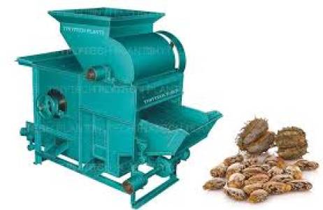 Seed Processing Machinery