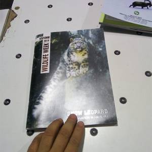 Magazine