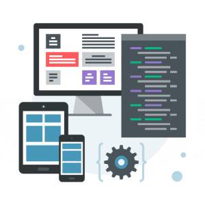 CUSTOM WEBSITE DESIGNING