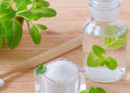 Ayurvedic Medicine & Siddha Medicine