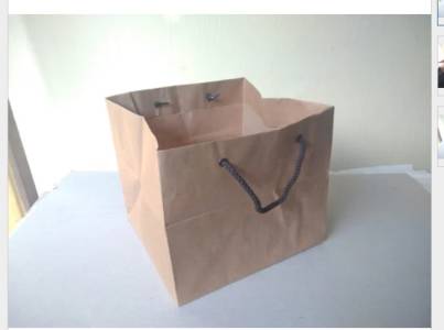 Paper Carry Bags