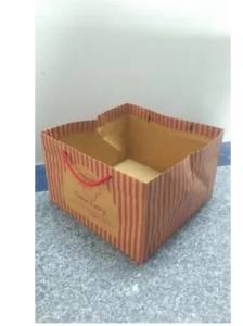 Kraft Paper Bags