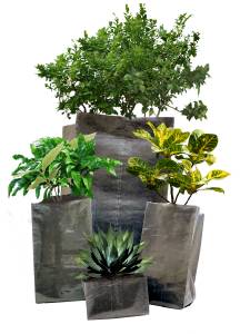 Plant Grow Nursery Bags