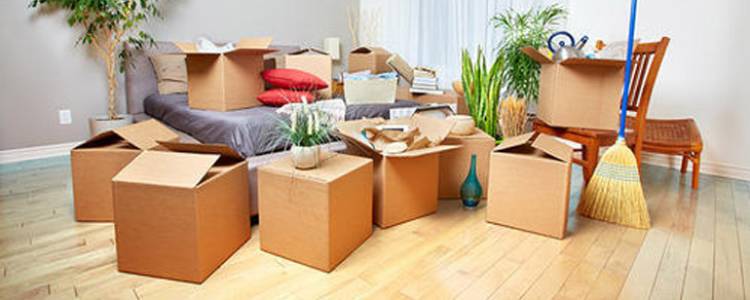 Household Shifting