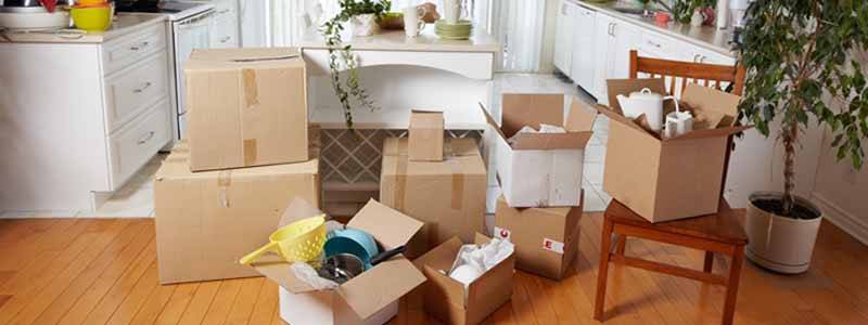 Domestic Moving