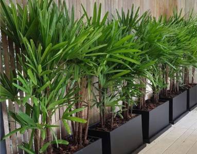 FRP Planters
