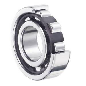 Cylindrical Roller Bearings