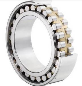 Cylindrical Roller Bearings