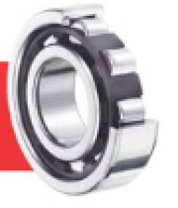 Cylindrical Roller Bearings