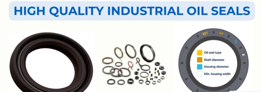 Oil Seals