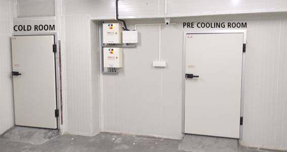 Pre Cooling and Staging Cold Room