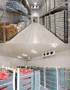 Bulk Cold Storage