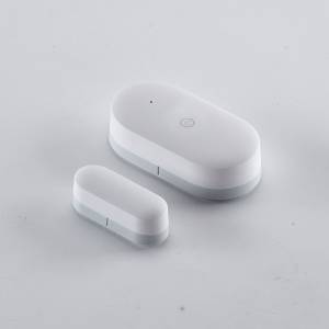 Door/Window Sensor