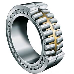 Double Row cylindrical roller bearings