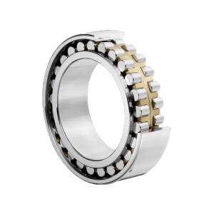 Double Row Cylindrical Roller Bearing