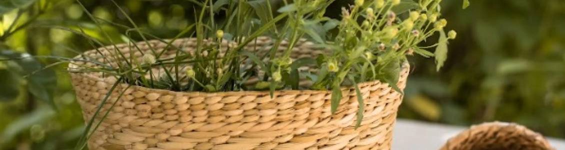 Planter