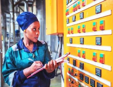 Refrigeration Energy Audit Service