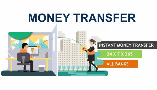 DOMESTIC MONEY TRANSFER