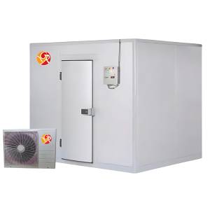 Ice Cream Cold Room