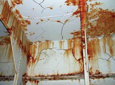 Coating Condition Survey