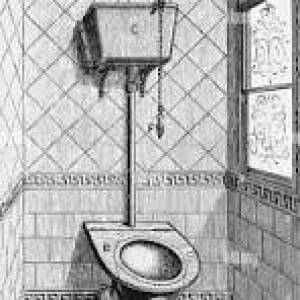 Toilet Flesh System