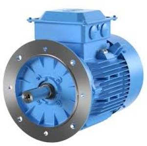 Flange Mounted Motor