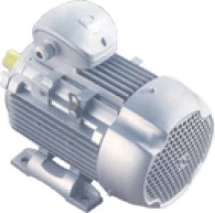A.C. Induction Motors