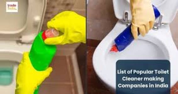 TOILET CLEANING