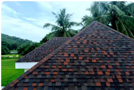Shingles Roofing
