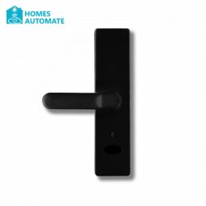 Elegant Black Smart Door Lock