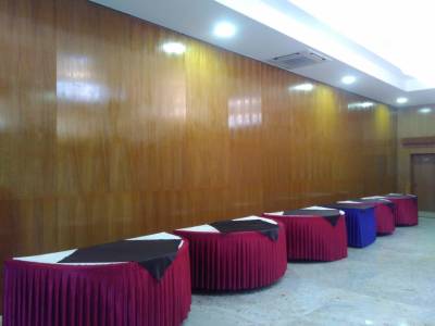 65 Series Movable Wall