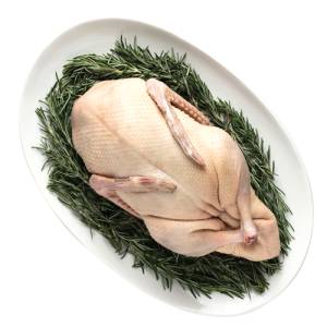 poultry