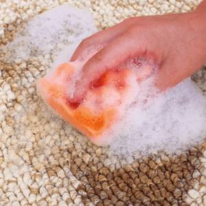 Wet Cleaning Services