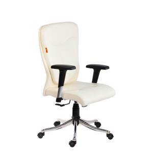 PROACTIVE PREMIUM HIGH BACK REVOLVING CHAIR