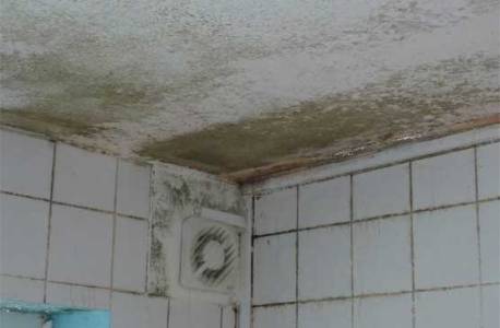 Waterproofing for Bathrooms |Toilets