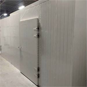 Cold Room Door