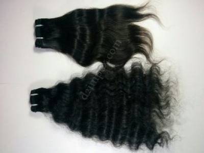 Hair in Chhattisgarh