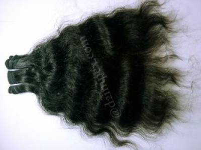 Hair in Goa