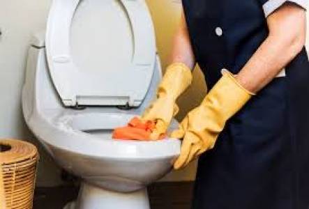 Bathroom Sanitization