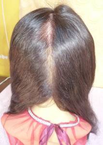 Black hair Ladies wig