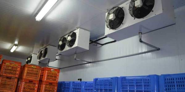 Fruit Ripening Room